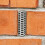 Rostfreie Edelstahl-Abflussabdeckung mit elastischen-25Stk 5
