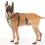 Dog Harness Vest Training Harnesses Strong Heavy Duty-Black L 4