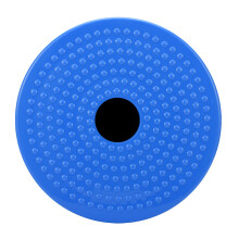 Sturdy ABS Waist Twisting Disc 24.5cm
