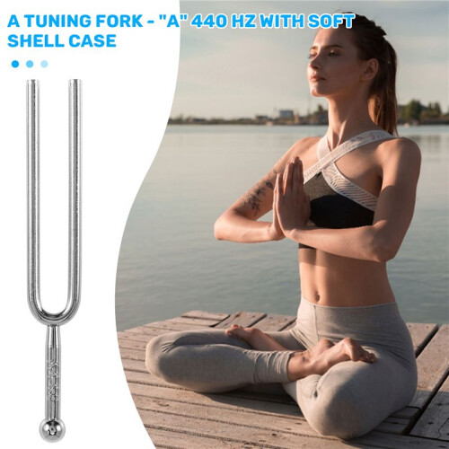 A Tuning Fork - "A" 440 Hz with Soft Shell Case 1