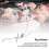 Pig Snare Catcher Tool 1