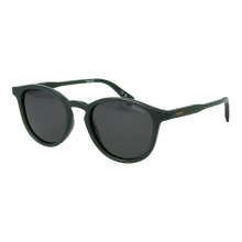Polaroid Sunglasses PLD 4191/S 4C3M9 51