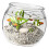 Plastic Fish Bowl Providing Safety Features Ideal For-XXL 1
