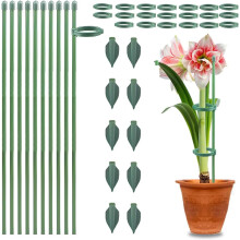 (17 inch 10pcs, -) 5 stuks verstelbare plantensteun stokken met clips – voor monstera en tomaat