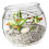 Round Fish Tanks Offering Superior Transparency And Drop-XL 1