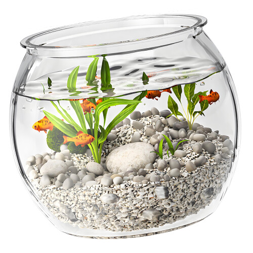 Round Fish Tanks Offering Superior Transparency And Drop-XL