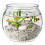 Modern Round Fish Bowl PET Plastic Perfect As Desktop Or-XXL 1