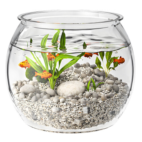 Modern Round Fish Bowl PET Plastic Perfect As Desktop Or-XXL
