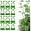 (Green, 100PCS) αυτοκόλλητα κλιπ στήριξης φυτών 2025 - Αόρατα γάντζα 1