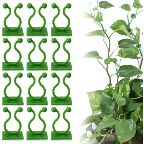 (Green, 100PCS) αυτοκόλλητα κλιπ στήριξης φυτών 2025 - Αόρατα γάντζα