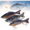 (3pcs-A, -) 2026 Upgrade Roboter-Fischköder, 3D schwimmender Köder für Süß- & Salzwasser 1