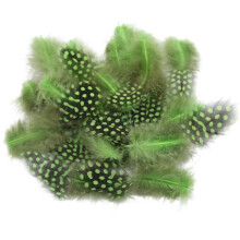 100Pieces Craft Plumage With Pearls Detail Home-Fruit green