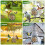Easy Installation Bird Feeder Hanging Birdcage Shaped Large-8P 6