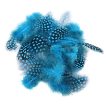 100 plumages assortis pour décorations de masque à-Lac Bleu