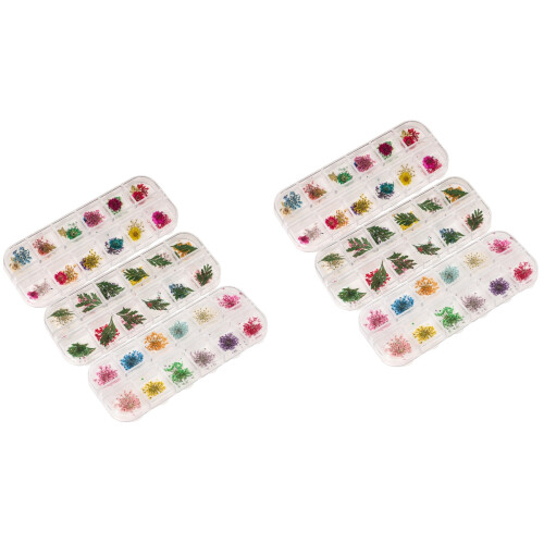 3Boîtes Fleurs Séchées Couleurs Assorties DIY Art Résine 2
