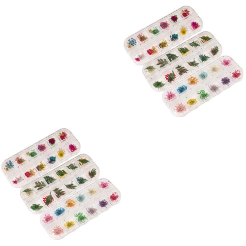 3Boîtes Fleurs Séchées Couleurs Assorties DIY Art Résine