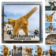 (1PC, -) Calendario pared gato divertido 2026, regalo broma amantes felinos
