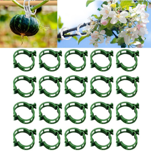 (Green, -) 100 clips support plantes réutilisables, jardin