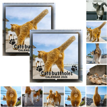 (2PCS, -) Calendario pared gato divertido 2026, regalo broma amantes felinos