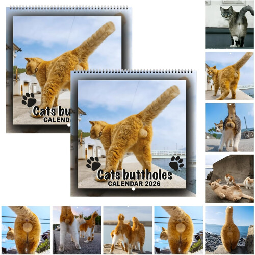 (2 pcs, -) Calendrier mural chat 2026, 12 mois