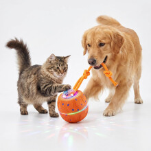 (Orange, -) Brinquedo Interativo Bola Autopropelida para Cães 2026, USB