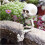 (1pc, -) Mini sculpture crâne pêcheur 11cm, Halloween 1
