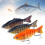 (3PCS-P, -) 2026 Upgrade Roboter-Fischköder, 3D schwimmender Köder für Anfänger & Profis 1