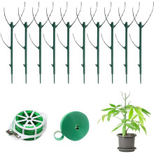 (10pcs, -) 5-pack stapelbare monstera plantensteun – klimplanten stokken
