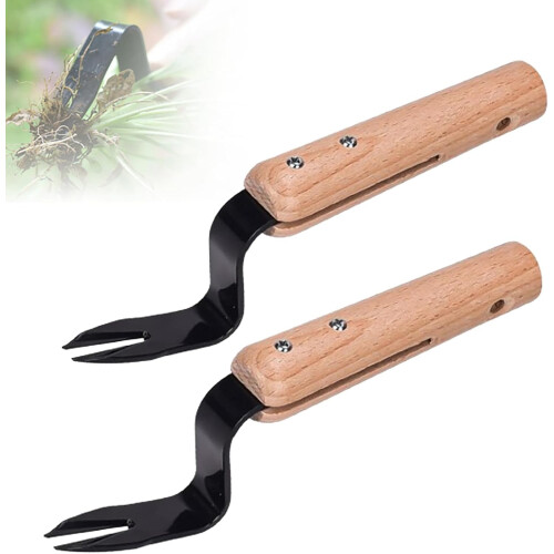 (Black 2pcs, -) Εργαλείο ξεριζώματος ρίζας, ανοξείδωτο - Βοτανίστρια κήπου