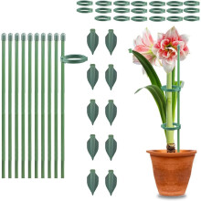 (11 inch 10pcs, -) 5 stuks verstelbare plantensteun stokken met clips – voor monstera en tomaat