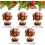 (#02-5pcs, -) στολίδια αερόστατου Santa 2D - Acrylic Christmas 1