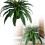 (1pcs, -) Τεχνητή φτέρη Βοστώνης ανθεκτική UV 2026, για έξω 1