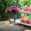 2 Pcs Acrylic Display Stands Acrylic Risers Dessert Table Display Set Rectangular Clear Display Stand Riser for Display 7