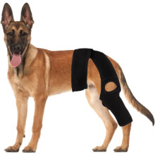 (size_name, One size dog knee pad L) Neopren Hundknäskena med Dubbla Stödsplintar - för Luxating Patella & ACL