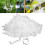 (White, -) Clip support plantes renforcé 2026, réutilisable 1