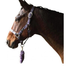 (Pony, Purple/Grey/Lilac) Hy Tartan Head Collar with Lead Rope
