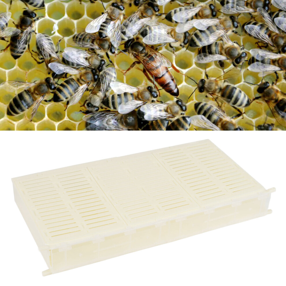 Single Frame Plastic Bee Spawning Controller