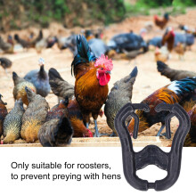 200 Reusable Chicken Beak Fasteners