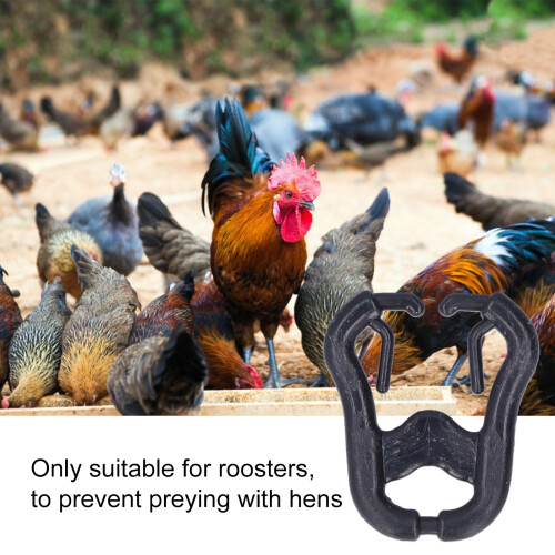 200 Reusable Chicken Beak Fasteners