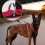 Hundegeschirr-Weste, Trainingsgeschirre, robuste,-Blau XL 6