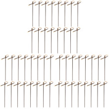 600Pcs Bamboo Fruit Sticks Disposable Party Picks Black Design