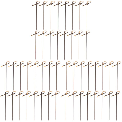 600Pcs Bamboo Fruit Sticks Disposable Party Picks Black Design