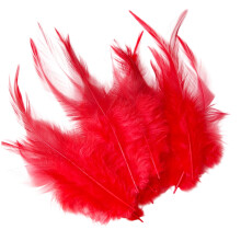 300 Stück mehrfarbige Bastelfedern 7–15 cm für-Rot