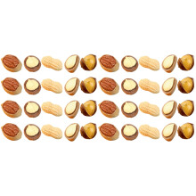 40Pcs Assorted Resin Miniature Nuts Decorative Doll House Accessories