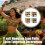 Colorful Totem Party Decorations 4/8/12Pcs User Friendly-4 5