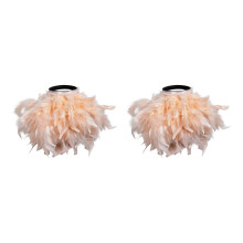 2 Pieces Delicate Feather Bracelets Breathable Skin-champagne