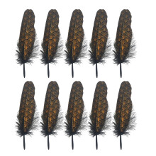 Conception de plumage artistique pour l'embellissement-1 paquet