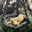 Hamster Hideouts Balançoire suspendue, jouet-Orangecouleur 1 7