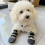 Chaussures d'extérieur pour chiens, couvre-pieds de-S 2