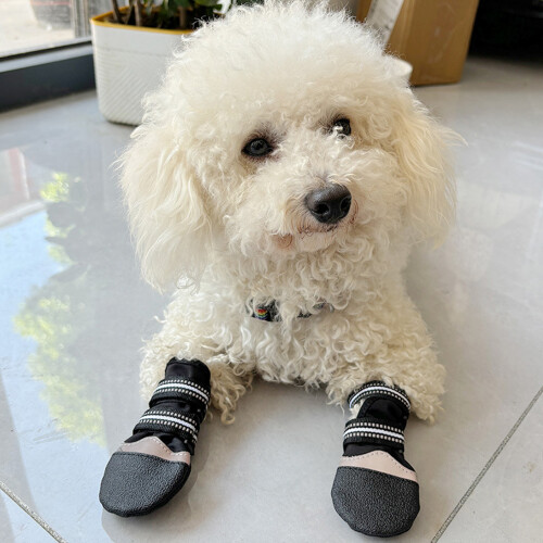 Chaussures d'extérieur pour chiens, couvre-pieds de-S 1
